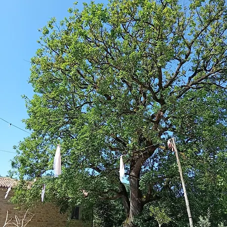 Отель типа 